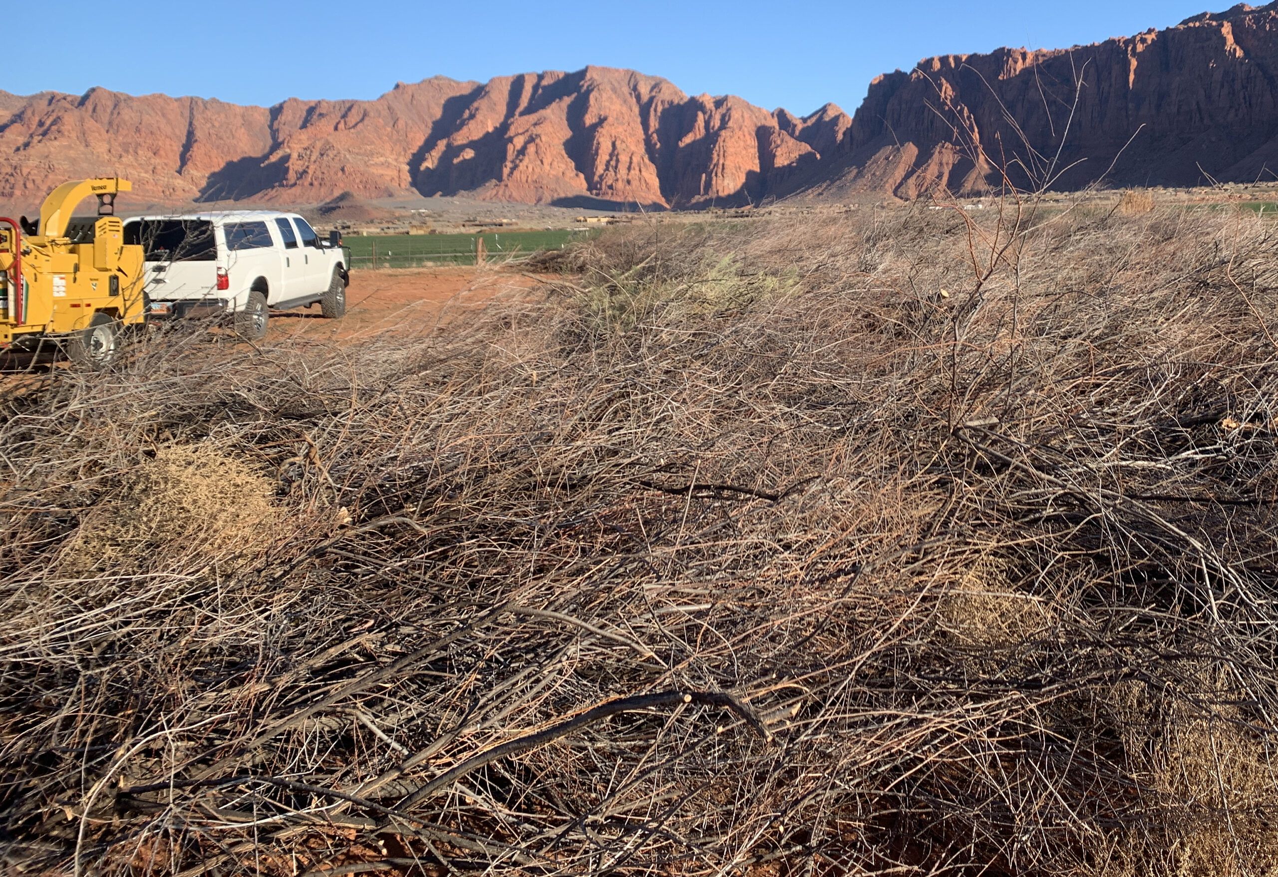 Truck with wood chipper attached parked in front of huge piles of tamarisk with red rock mountains in the background