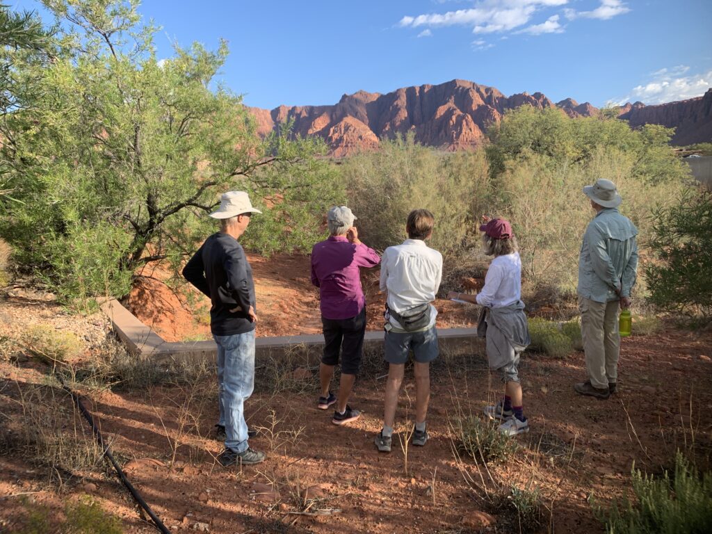 Group of people standing looking at tamarisk and red mountain
