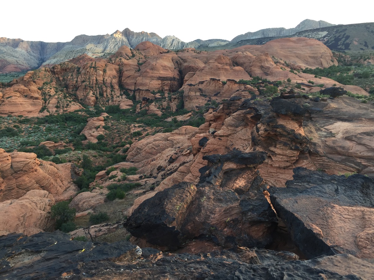 Red Rock in Southern Utah with green plants and massive swaths of darkened black fire damage and soot on the red rock from a recent fire.