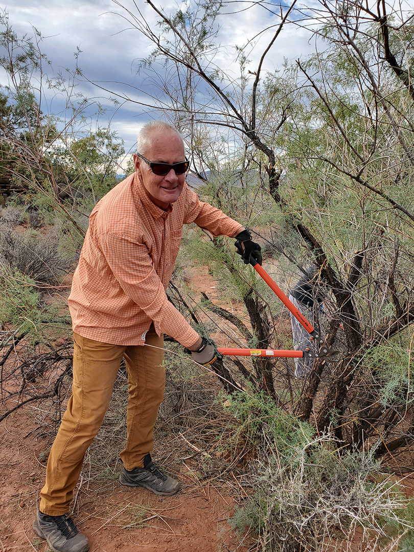 John Thomas cutting tamarisk with a pair of loppers, standing in a desert wash.