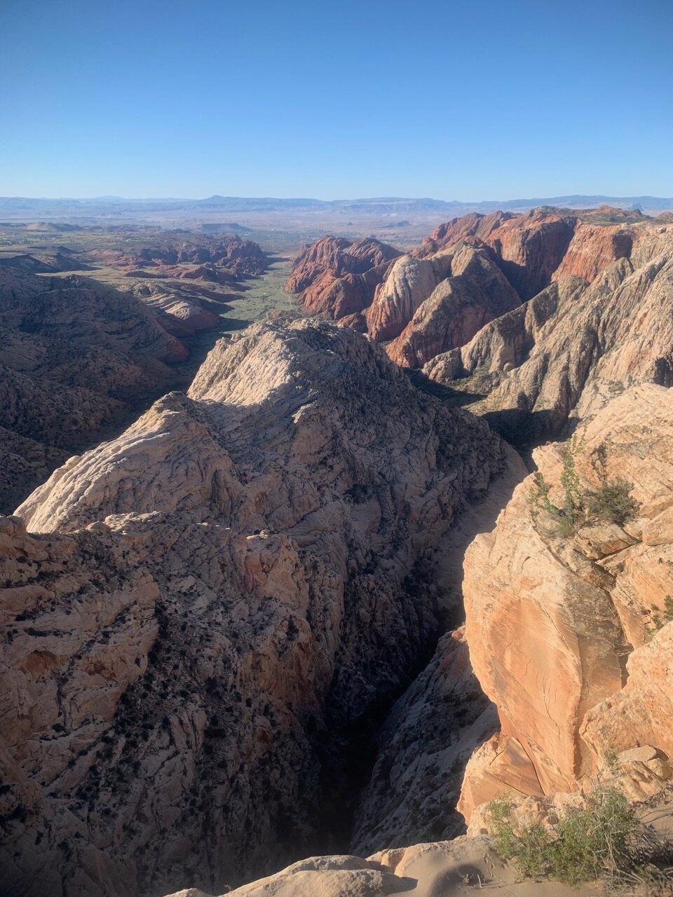 Redrock Cliffs and canyons