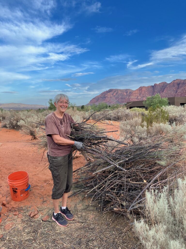 Volunteer stacking a pile of tamarisk