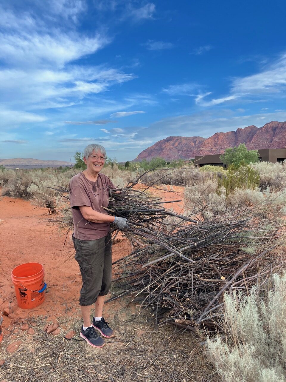 Volunteer stacking a pile of tamarisk