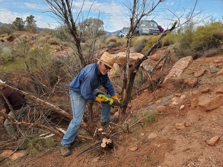 Volunteer wearing a straw hat and using a saw to remove invasive trees in a desert area near Ivins, Utah.