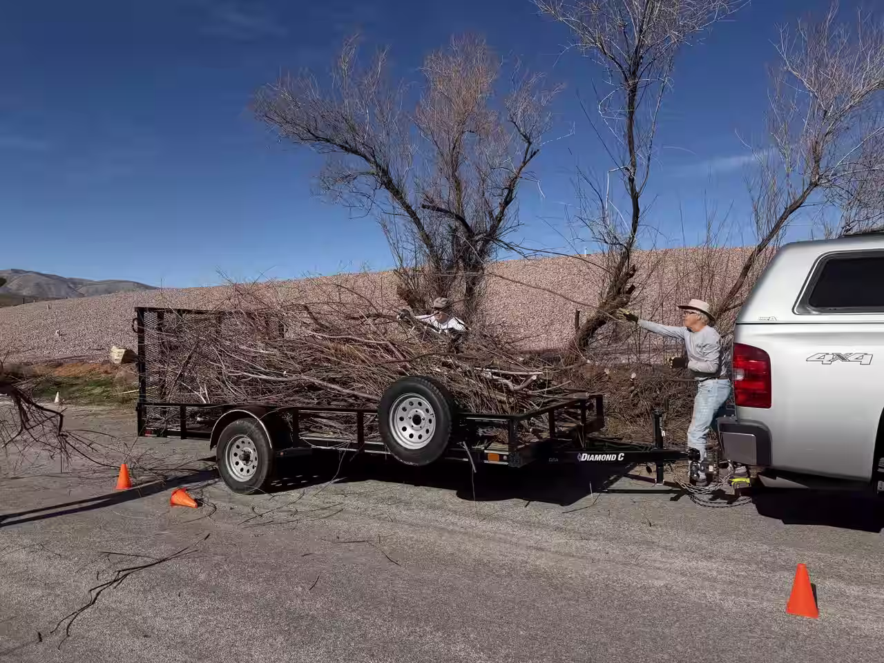 Ivins Irrigation Company invites Desert Preservation Initiative to do tamarisk removal work on their property